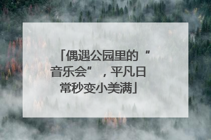 偶遇公园里的“音乐会”，平凡日常秒变小美满