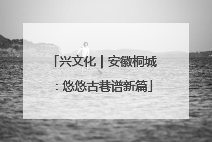 兴文化｜安徽桐城：悠悠古巷谱新篇