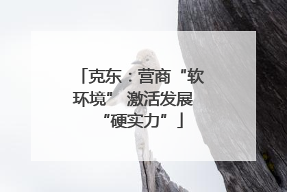克东：营商“软环境” 激活发展“硬实力”