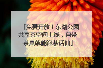 免费开放！东湖公园共享茶空间上线，自带茶具就能泡茶话仙