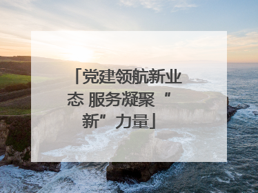 党建领航新业态 服务凝聚“新”力量