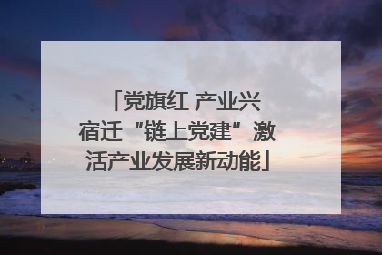 党旗红 产业兴 宿迁“链上党建”激活产业发展新动能