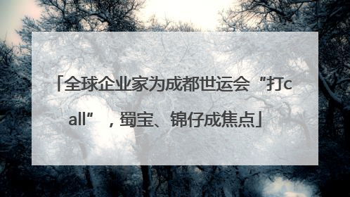 全球企业家为成都世运会“打call”，蜀宝、锦仔成焦点