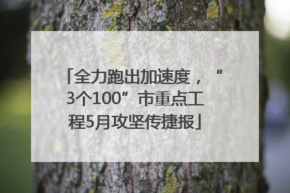 全力跑出加速度，“3个100”市重点工程5月攻坚传捷报