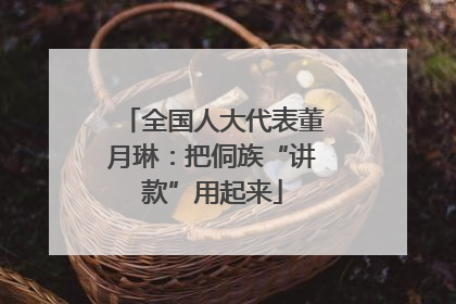 全国人大代表董月琳：把侗族“讲款”用起来