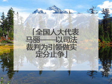 全国人大代表马丽——以司法裁判为引领做实定分止争