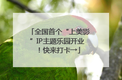 全国首个“上美影”IP主题乐园开业！快来打卡→
