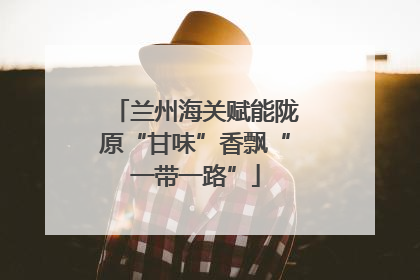 兰州海关赋能陇原“甘味”香飘“一带一路”