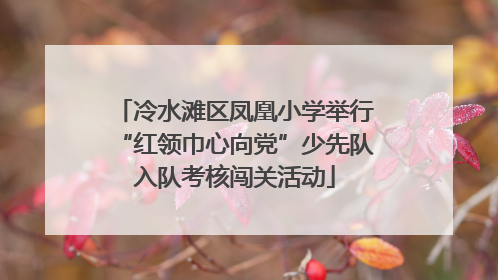 冷水滩区凤凰小学举行“红领巾心向党”少先队入队考核闯关活动