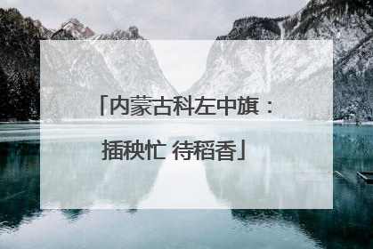 内蒙古科左中旗：插秧忙 待稻香