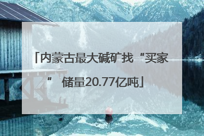 内蒙古最大碱矿找“买家” 储量20.77亿吨