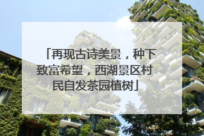 再现古诗美景，种下致富希望，西湖景区村民自发茶园植树