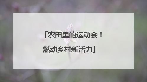 农田里的运动会！燃动乡村新活力