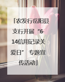 农发行岳阳县支行开展“6·14信用记录关爱日” 专题宣传活动