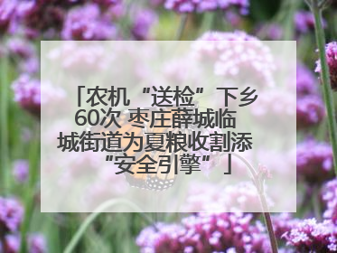 农机“送检”下乡60次 枣庄薛城临城街道为夏粮收割添“安全引擎”