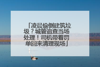 凌晨偷倒建筑垃圾？城管追查当场处理！司机带着罚单回来清理现场