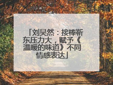 刘昊然：接棒靳东压力大，赋予《温暖的味道》不同情感表达