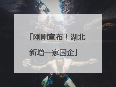 刚刚宣布！湖北新增一家国企