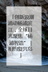 创新浪潮涌动杨浦滨江，全球目光聚焦“杨浦智造”｜相约复兴岛