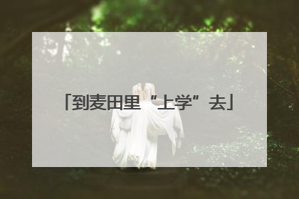 到麦田里“上学”去