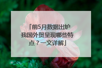 前5月数据出炉 我国外贸呈现哪些特点？一文详解
