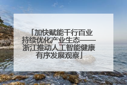 加快赋能千行百业 持续优化产业生态——浙江推动人工智能健康有序发展观察