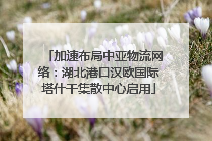 加速布局中亚物流网络：湖北港口汉欧国际塔什干集散中心启用