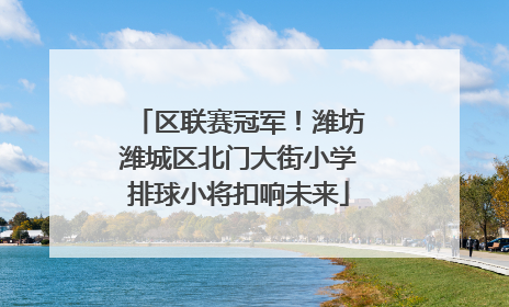 区联赛冠军！潍坊潍城区北门大街小学排球小将扣响未来