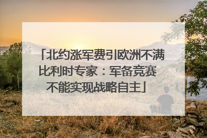 北约涨军费引欧洲不满 比利时专家：军备竞赛不能实现战略自主