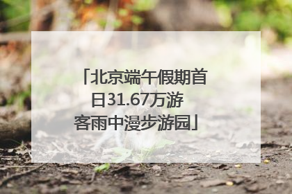 北京端午假期首日31.67万游客雨中漫步游园