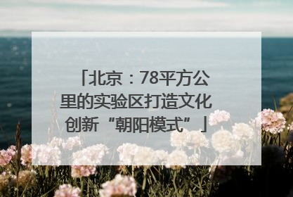 北京：78平方公里的实验区打造文化创新“朝阳模式”