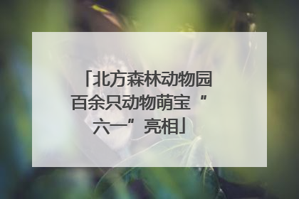 北方森林动物园百余只动物萌宝“六一”亮相