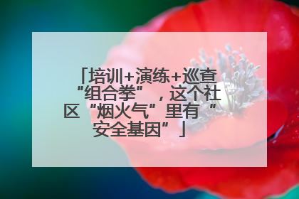 培训+演练+巡查“组合拳”，这个社区“烟火气”里有“安全基因”