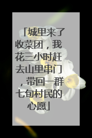 城里来了收菜团，我花三小时赶去山里串门，带回一群七旬村民的心愿