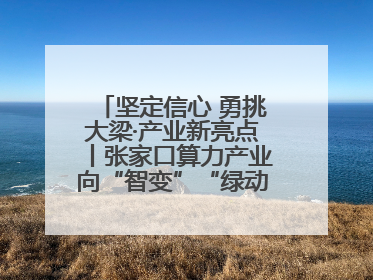 坚定信心 勇挑大梁·产业新亮点丨张家口算力产业向“智变”“绿动”跃升