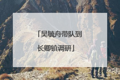 吴毓舟带队到长卿镇调研