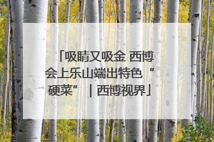 吸睛又吸金 西博会上乐山端出特色“硬菜”｜西博视界