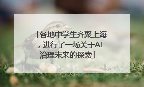 各地中学生齐聚上海，进行了一场关于AI治理未来的探索