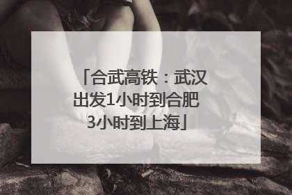 合武高铁：武汉出发1小时到合肥3小时到上海