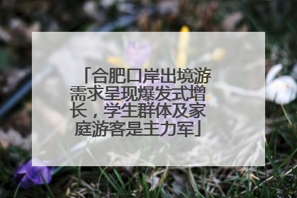 合肥口岸出境游需求呈现爆发式增长，学生群体及家庭游客是主力军