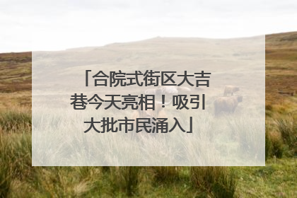 合院式街区大吉巷今天亮相！吸引大批市民涌入
