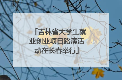 吉林省大学生就业创业项目路演活动在长春举行