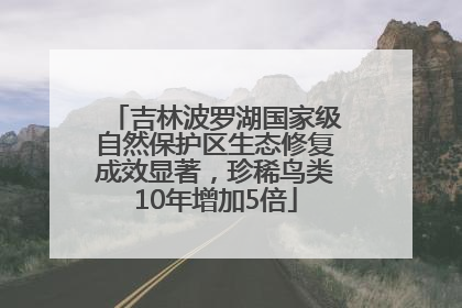 吉林波罗湖国家级自然保护区生态修复成效显著，珍稀鸟类10年增加5倍