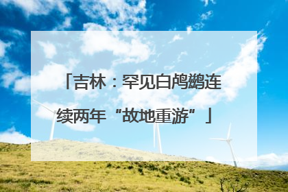 吉林：罕见白鸬鹚连续两年“故地重游”
