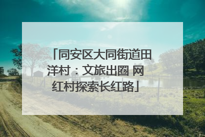 同安区大同街道田洋村：文旅出圈 网红村探索长红路