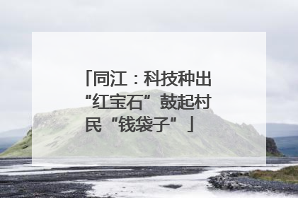 同江：科技种出“红宝石”鼓起村民“钱袋子”