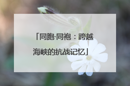 同胞·同袍：跨越海峡的抗战记忆