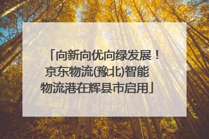 向新向优向绿发展！京东物流(豫北)智能物流港在辉县市启用