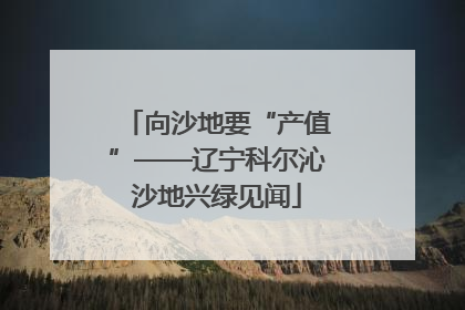 向沙地要“产值”——辽宁科尔沁沙地兴绿见闻