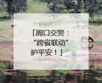 周口交警：“跨省联动”护平安！